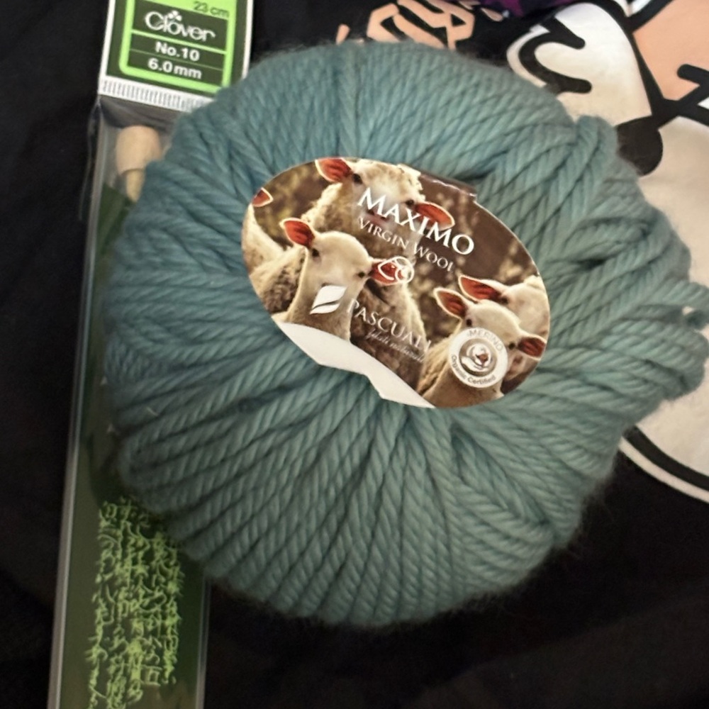 Maximo Virgin Wool Yarn in Blue